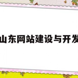 山东网站建设与开发(山东专业网站开发公司)