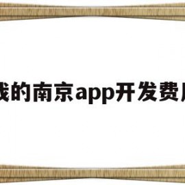 我的南京app开发费用(我的南京app开发费用是多少)