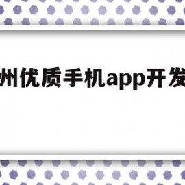 杭州优质手机app开发方案的简单介绍