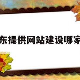 山东提供网站建设哪家好的简单介绍