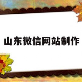 山东微信网站制作(山东怎么做微信网站)