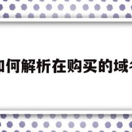 如何解析在购买的域名(如何解析在购买的域名信息)