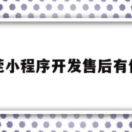 东莞小程序开发售后有保障(东莞市小程序电子商务有限公司)