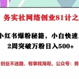 务实社网创81之08：小红书爆粉秘籍，小白快速上手2周突破万粉日入500+