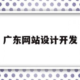 广东网站设计开发(广东网站设计开发招聘信息)