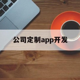 公司定制app开发(定制开发app到底要多少钱)