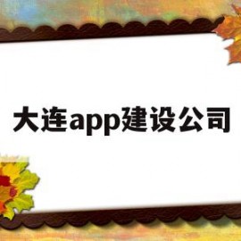 大连app建设公司(大连建设信息工程网)