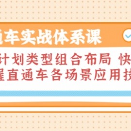 直通车实战体系课：多计划类型组合布局 快速掌握直通车各场景应用技巧