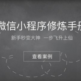 【小程序】49 份小程序运营技巧与市场研报