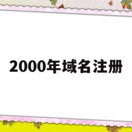 2000年域名注册(2000年域名注册怎么付费)