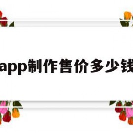 app制作售价多少钱(app制作价格大概多少)