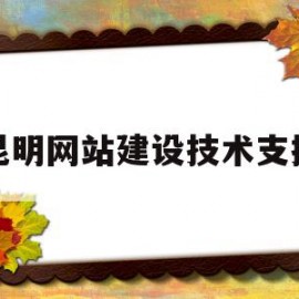 昆明网站建设技术支持(昆明网站建设哪家公司好)