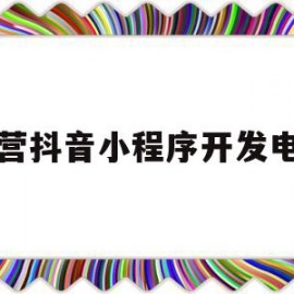 东营抖音小程序开发电话(抖音小程序开发用什么语言)