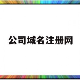 公司域名注册网(公司 域名注册 流程)