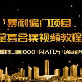 暴利网络项目全套合集视频教程：你要的日赚1000+月入几万+项目都有