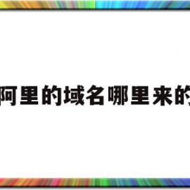 阿里的域名哪里来的(阿里的域名哪里来的啊)