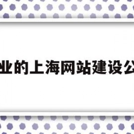 专业的上海网站建设公司(专业的上海网站建设公司哪家好)