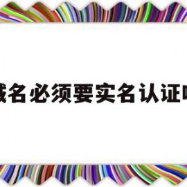 域名必须要实名认证吗(域名必须要实名认证吗安全吗)