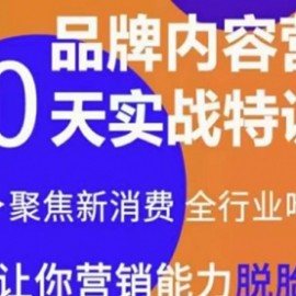 《内容营销实操特训营》20天让你营销能力脱胎换骨（价值3999）