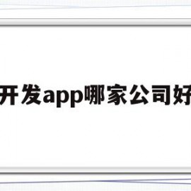 开发app哪家公司好(app开发哪家价格便宜)