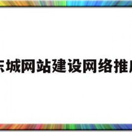 东城网站建设网络推广(北京专业网站建设网站推广)