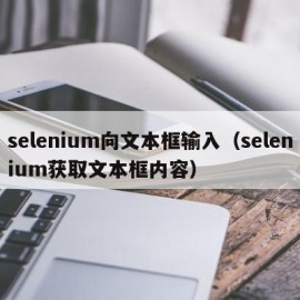 selenium向文本框输入（selenium获取文本框内容）