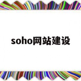 soho网站建设(soho网络建设方案)