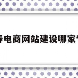 长春电商网站建设哪家专业(长春最大的电商公司排名)