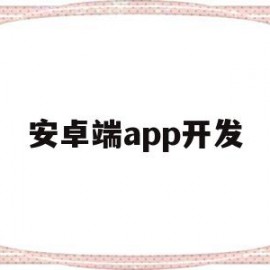 安卓端app开发(安卓app开发100个实例)