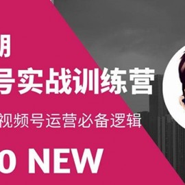 视频号实战训练营：抓信视频号超级红利和流量打造爆款，疯狂出单暴力变现