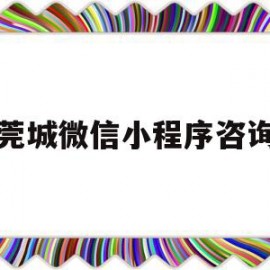 莞城微信小程序咨询(东莞小程序开发解决方案)