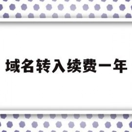 域名转入续费一年(域名续费一年多少费用)