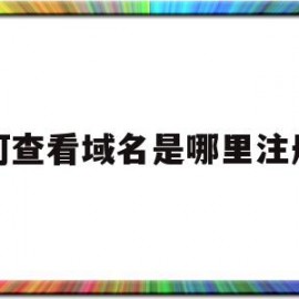 如何查看域名是哪里注册的(怎么查域名在哪个平台注册的)