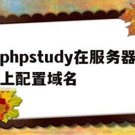 包含phpstudy在服务器上配置域名的词条