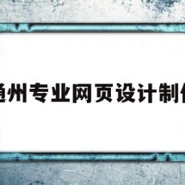 通州专业网页设计制作(北京网页设计案例)