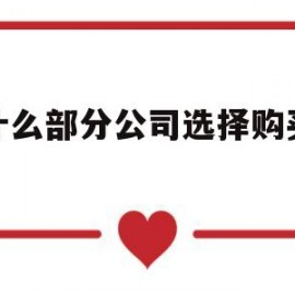 为什么部分公司选择购买域名(为什么有些公司前面没有域名)