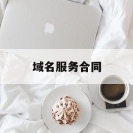 域名服务合同(域名服务费是什么)