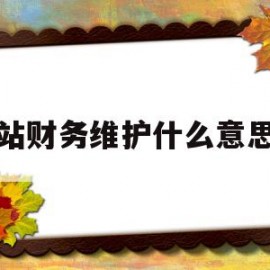 网站财务维护什么意思啊(网站财务维护什么意思啊怎么写)