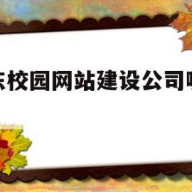 山东校园网站建设公司哪家好(山东校园网站建设公司哪家好一点)