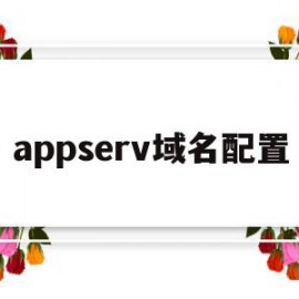 appserv域名配置(域名serverhold)