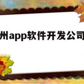 泸州app软件开发公司电话的简单介绍