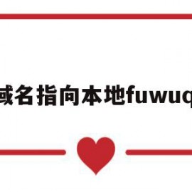 域名指向本地fuwuqi(域名系统中的本地域名服务器)