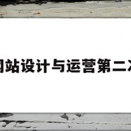 网站设计与运营第二次的简单介绍