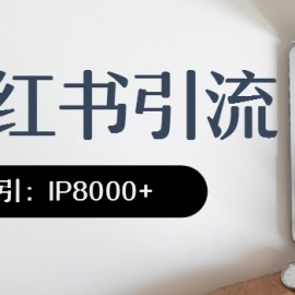 小红书精准引流，日引IP8000多