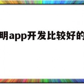 昆明app开发比较好的公司(昆明app开发比较好的公司排名)