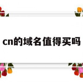 cn的域名值得买吗(cn域名好收录吗)