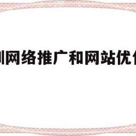 深圳网络推广和网站优化排名(深圳网络推广和网站优化排名一样吗)