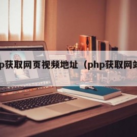 php获取网页视频地址（php获取网站内容）