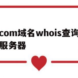 包含com域名whois查询服务器的词条