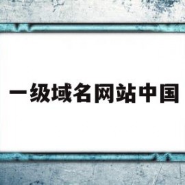 一级域名网站中国(一级域名网站中国有哪些)